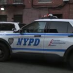 Young Child Critically Hurt After Plunge From Fifth-Story Window in Bronx Apartment Building