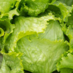 Understanding the Cyclospora Outbreak: What Consumers Need to Know