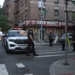12-Year-Old Struck by Stray Bullet in Bronx; Two Others Wounded in Weekend Shooting