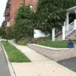 Woman Assaulted During Evening Walk in Mamaroneck Village