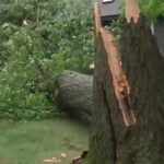 Severe Weather Batters New Jersey With Widespread Flooding, Structural Damage