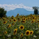 Ancient Mount Olympus Seeks UNESCO World Heritage Status as Greece Pursues Global Recognition