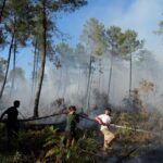 French Firefighters Contain Massive Wildfire as Heat Threatens to Reignite Blaze