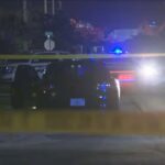 Woman Dies After Falling From Vehicle Hood Following Altercation in Fort Lauderdale