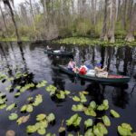 Georgia’s Okefenokee Swamp Joins UNESCO World Heritage Sites in South Korea Decision