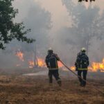 Wildfire Forces Mass Evacuations Near Bordeaux as Flames Threaten French Wine Country