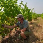 Wildfires Ravage Southwest France, Compounding Economic Crisis for Wine Industry and Regional Businesses