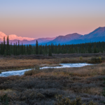Michigan Man Arrested in 30-Year-Old Alaska Murder Case After Anonymous Confession