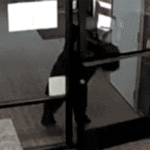 Black Bear Breaks Into California Water District Office, Exits Unharmed After Brief Interior Exploration