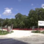 Miami Residents File Appeals Against Developer’s Plan to Remove 46 Trees for New Construction