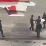 Boy Critically Injured in Dog Attack on Bimini Beach Airlifted to Miami Hospital
