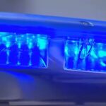Senior Woman Injured in Dog Attack at Nassau County Home