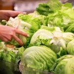 Multiple Foodborne Illness Outbreaks Prompt Health Experts to Share Prevention Strategies
