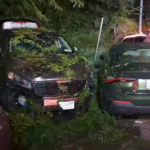 Two People Hurt in Three-Vehicle Collision on Major Deegan Expressway in Bronx