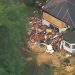 Storm Topples Tree Onto Westbury Home, Trapping Multiple Cats Inside