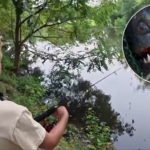 Young Angler’s Unusual Lake Discovery Highlights Dangers of Released Exotic Pets
