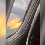 American Airlines Aircraft Returns to Myrtle Beach After Bird Strike Ignites Engine Fire