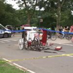 Family of Tourist Killed in Central Park Horse Carriage Accident to Sue City for $105 Million