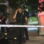 Man, 39, Fatally Shot in Head in Bronx