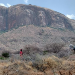 Helicopter Crash in Kenya Kills Seven, Including Five U.S. Citizens