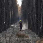 France Contains Massive Bordeaux Wildfire as Second Blaze Rages in Provence