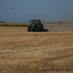 Severe European Drought Devastates Agricultural Output Across Multiple Sectors and Nations