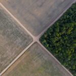 Brazil’s Top Court Backs State Laws Undermining Amazon Soy Moratorium