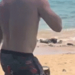 Hawaii Democratic House Candidate Charged With Felonies After Beach Altercation Leaves Him Unconscious