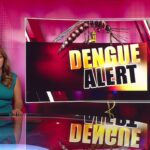 Florida Health Officials Alert Miami-Dade Residents to Dengue Case, Recommend Mosquito Prevention Measures