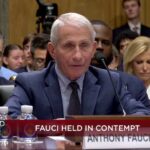 Senate Panel Votes to Refer Fauci to Justice Department Over COVID Hearing Refusal