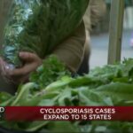 Cyclospora outbreak linked to contaminated iceberg lettuce expands to 15 states