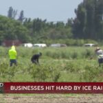 Trump Administration’s Deportation Push Threatens Miami-Dade Plant Nursery Industry