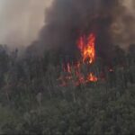 Brush Fire Near Krome Avenue Fills Southwest Miami-Dade With Smoke
