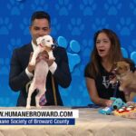Humane Society of Broward County Seeks Adopters for Puppies and Adult Dogs