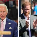 King Charles clarifies status of Prince Harry and his wife, Meghan, after their return to the UK