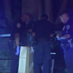 Woman found dead in trash can near Plumb Beach in Sheepshead Bay: source