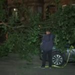 Tree falls on car in Brooklyn as city braces for high winds