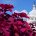 Senate to vote on resolution to halt the Iran war as gas prices upend midterms