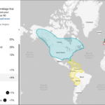 The New Family Finder NGS Test Results, Comparison, and Preparation