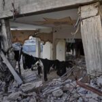 Fatal building collapse highlights dangers plaguing Gaza nearly a year after ceasefire
