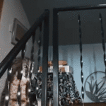 Washington homeowner hears mysterious banging, calls 911 before police find growling bobcat at top of stairs