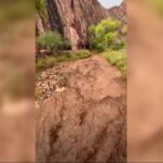 Flash flooding causes major damage to the Grand Canyon’s critical water pipeline