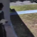 Surveillance video shows man accused of stealing mail in Fort Lauderdale