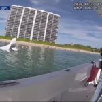 New video shows dramatic rescue after pilot landed small plane in Boca Raton ocean