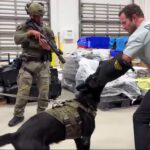 Bond between law enforcement, K9 partners brought to big screen in ‘Heart of the Beast’