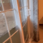 Dramatic video captures floodwaters bursting through glass doors of college students’ home